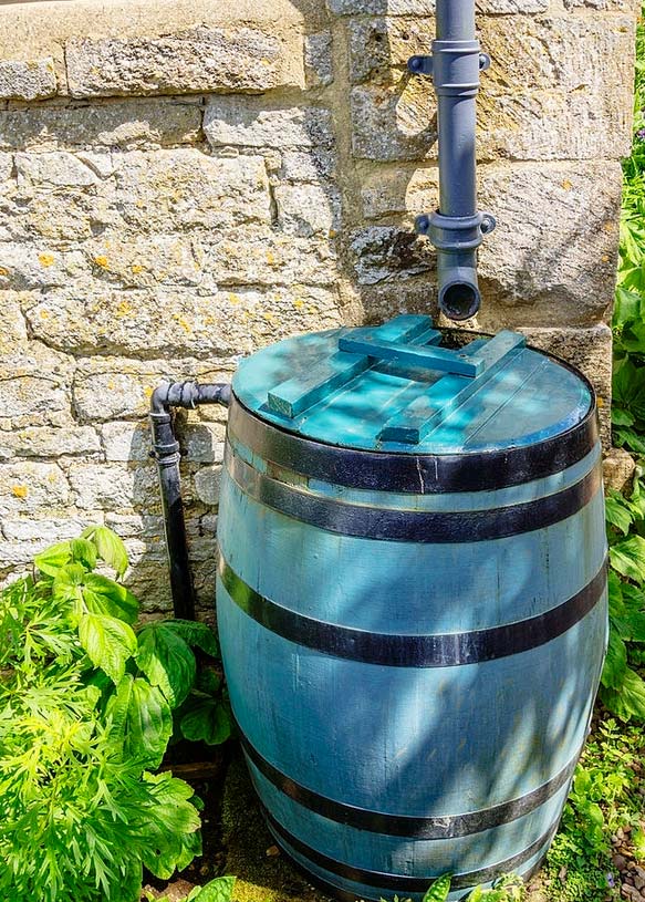 Rain barrel with downspout